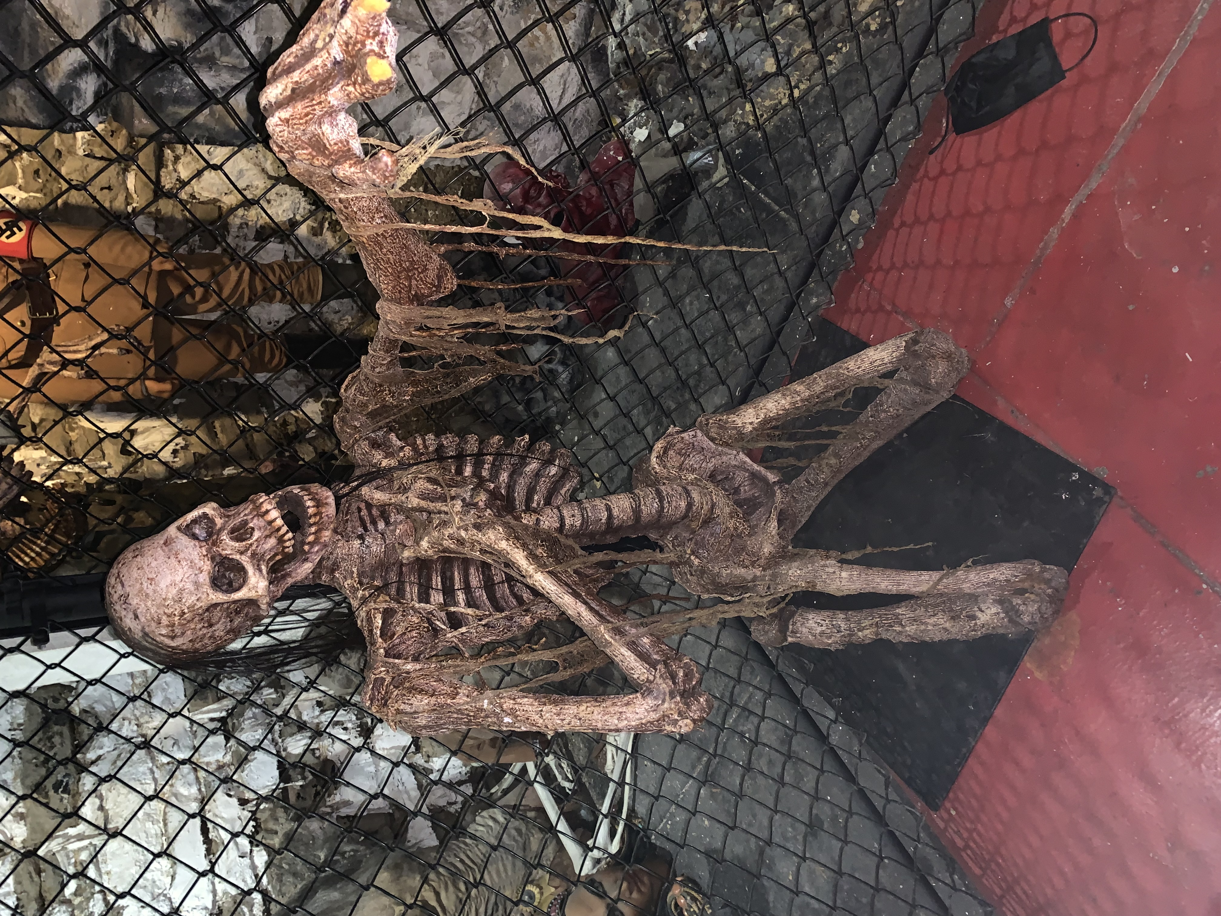 ./2022/06 - St Louis/06 - Day 6/20220526-153905336.JPG